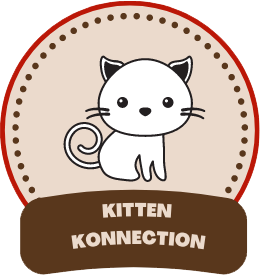 Kitten Konnection